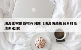 醴陵动漫素材伤感推荐网站（动漫伤感视频素材高清无水印）